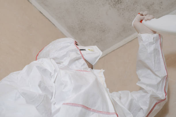 Best Toxic Mold Removal  in Leonardtown, MD