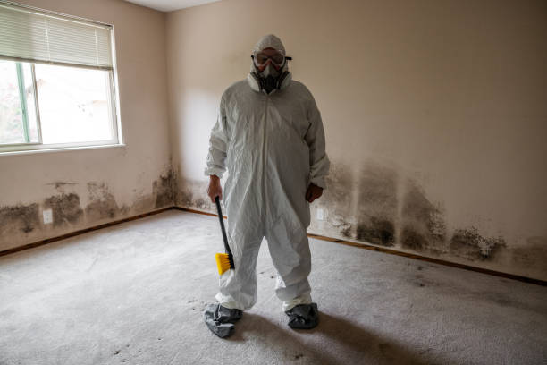 Professional Mold Removal in Leonardtown, MD